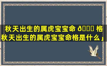 秋天出生的属虎宝宝命 🐕 格「秋天出生的属虎宝宝命格是什么」